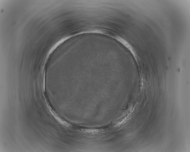 X0000081571127200701291208