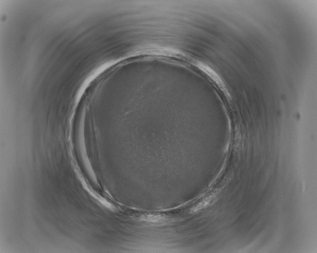 X0000081571128200701291208