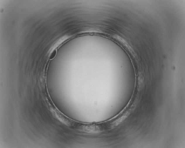 X0000081571129200701291208