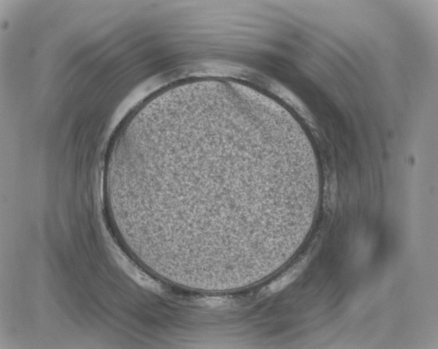 X0000081571130200701291208