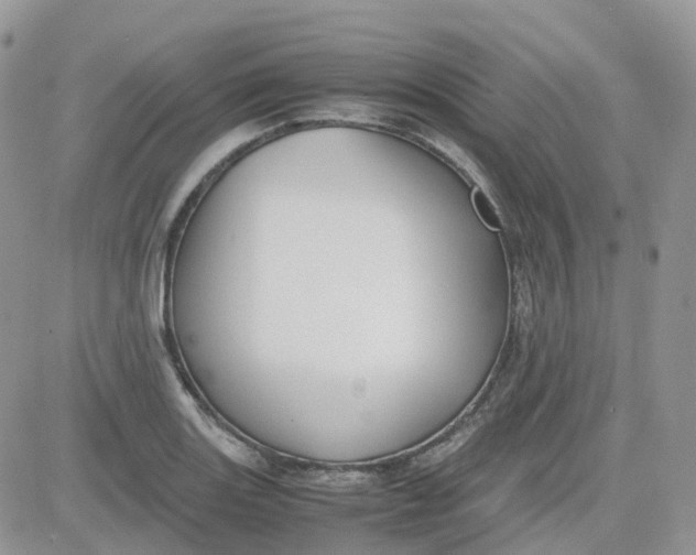 X0000081571131200701291208