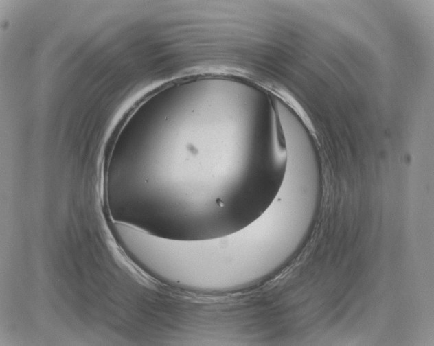 X0000081571132200701291208