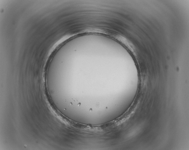 X0000081571133200701291208