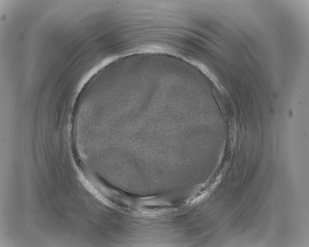 X0000081571134200701291208