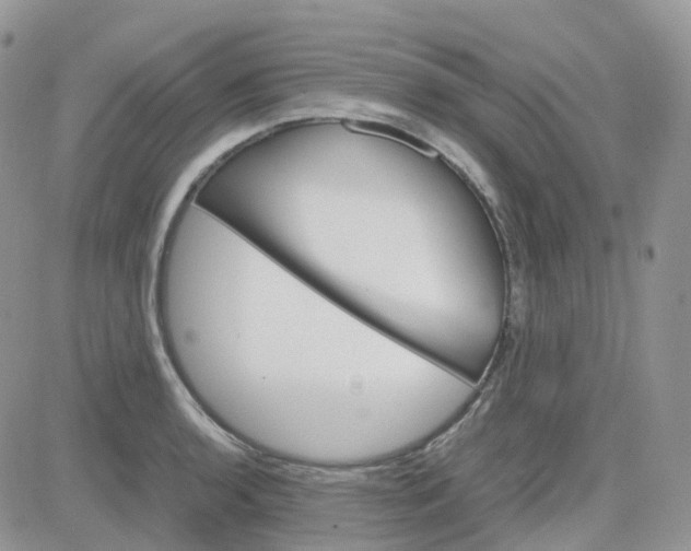 X0000081571136200701291208