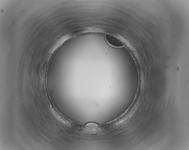 X0000081571137200701291208