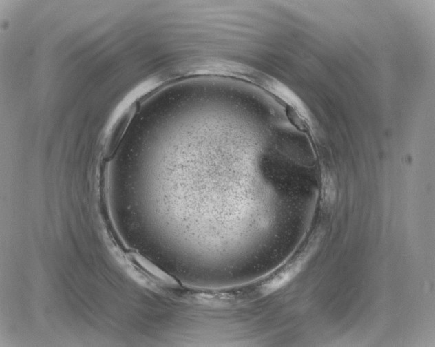 X0000081571138200701291208