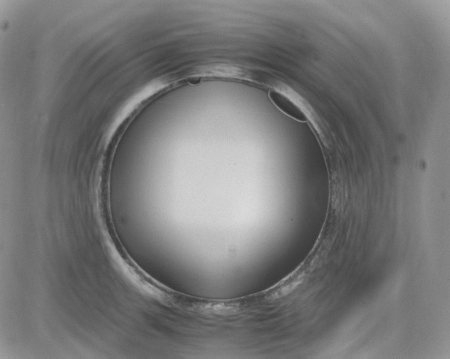 X0000081571139200701291208