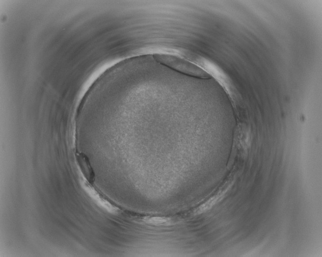 X0000081571140200701291208