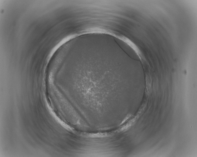 X0000081571142200701291208