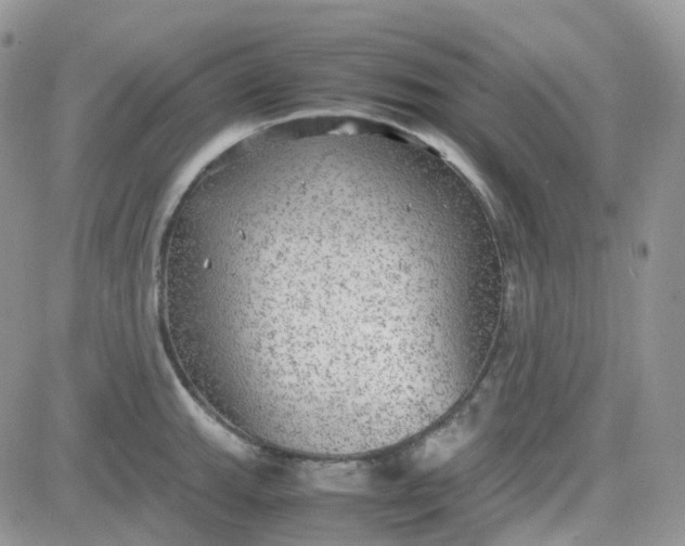 X0000081571143200701291208