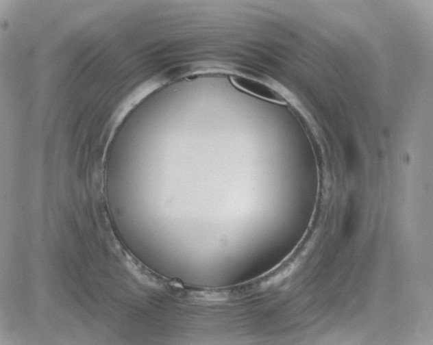 X0000081571145200701291208