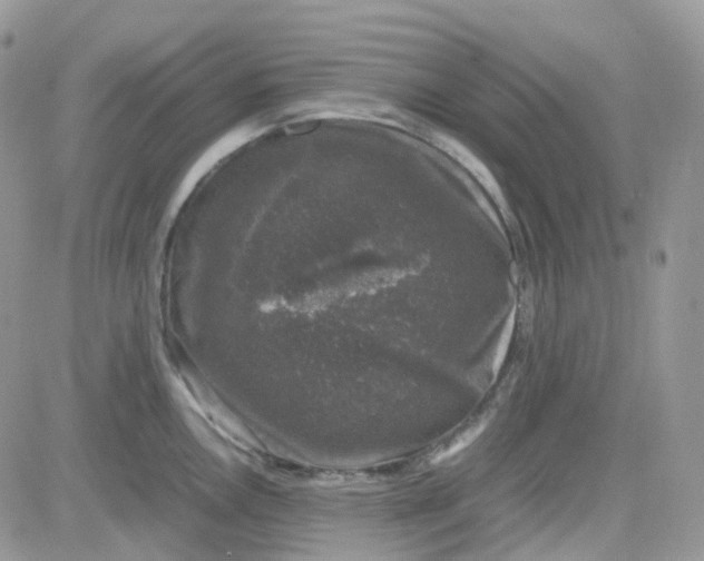 X0000081571146200701291208