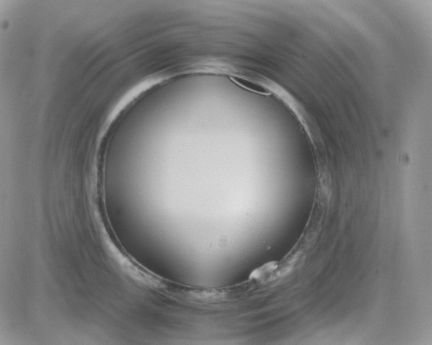 X0000081571147200701291208