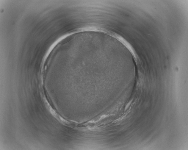 X0000081571148200701291208