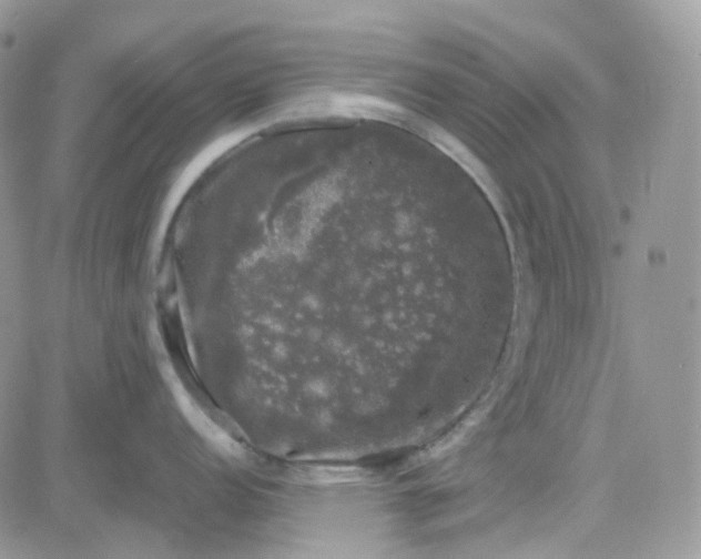 X0000081571152200701291208