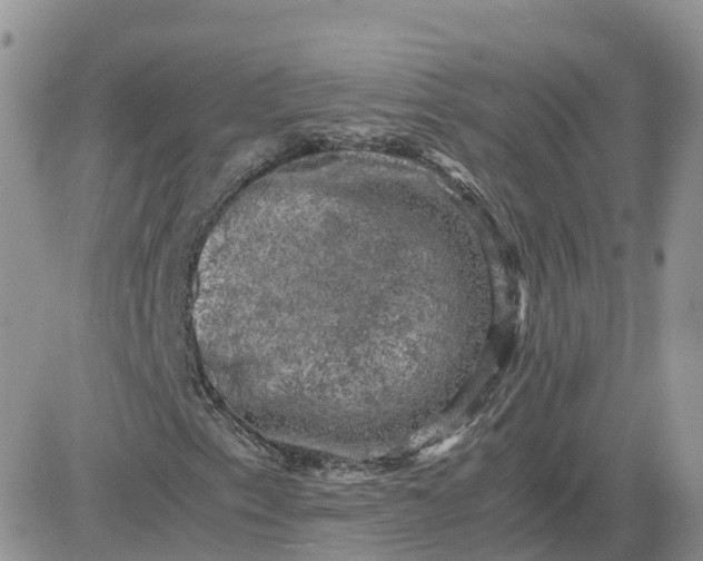 X0000081571153200701291208