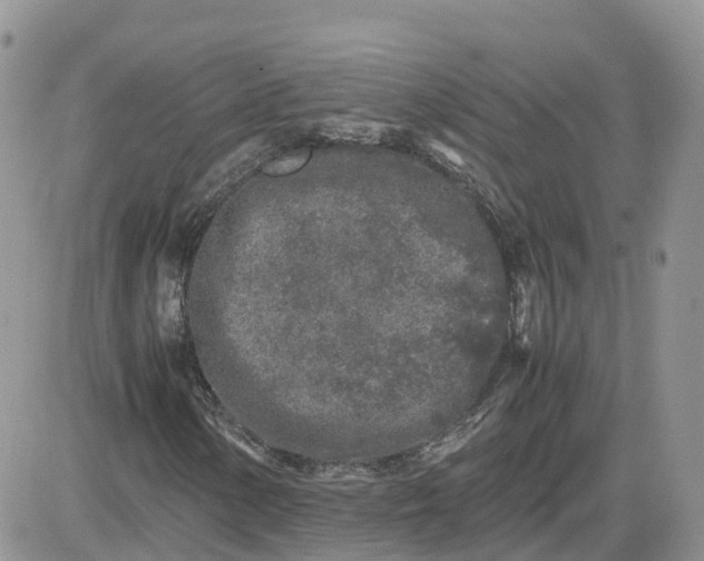 X0000081571154200701291208