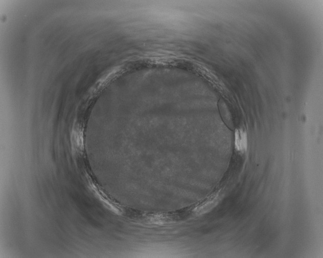 X0000081571155200701291208