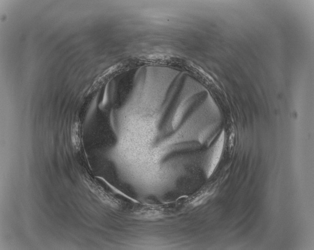 X0000081571156200701291208