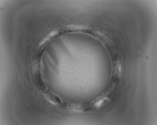 X0000081571157200701291208