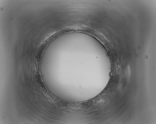 X0000081571158200701291208