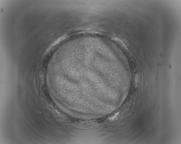 X0000081571159200701291208