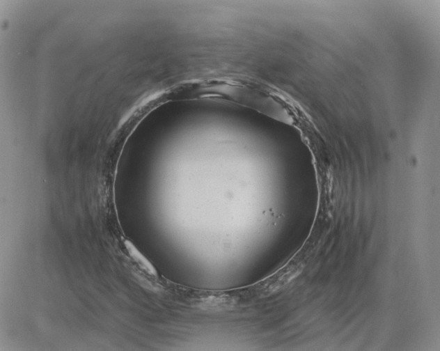 X0000081571160200701291208