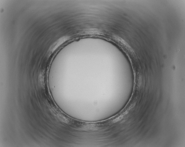 X0000081571162200701291207