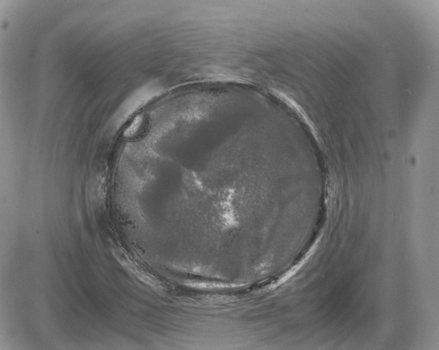 X0000081571163200701291207