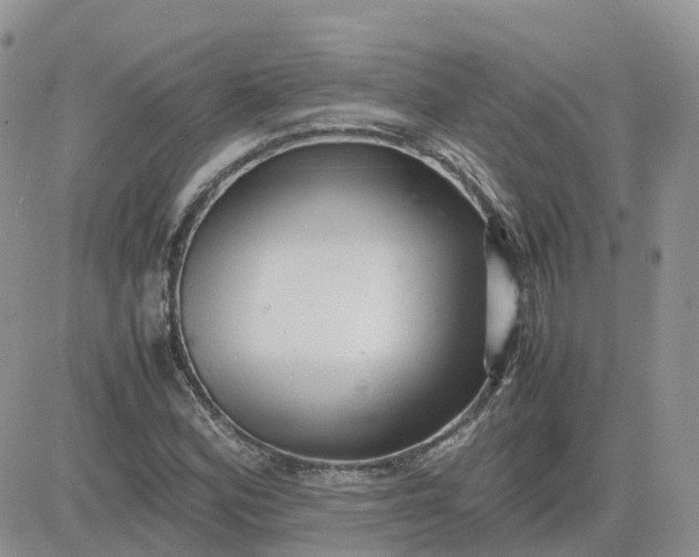 X0000081571164200701291207