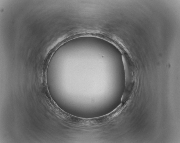 X0000081571165200701291207