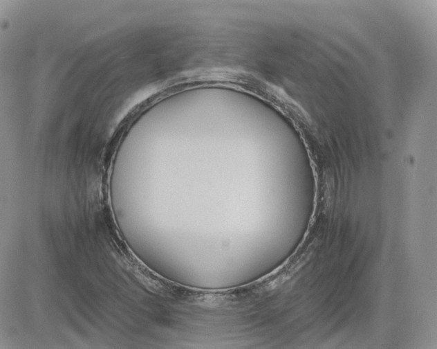 X0000081571166200701291207