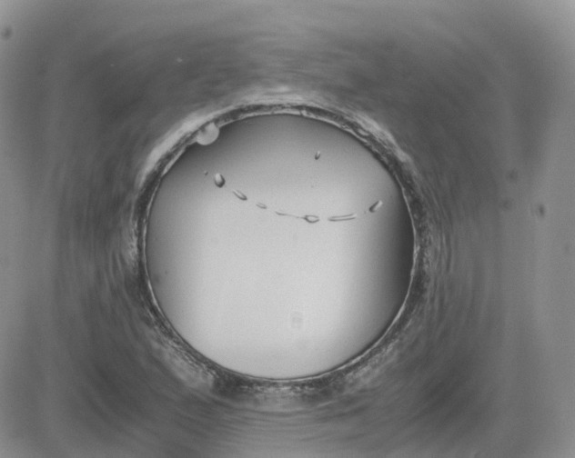 X0000081571167200701291207