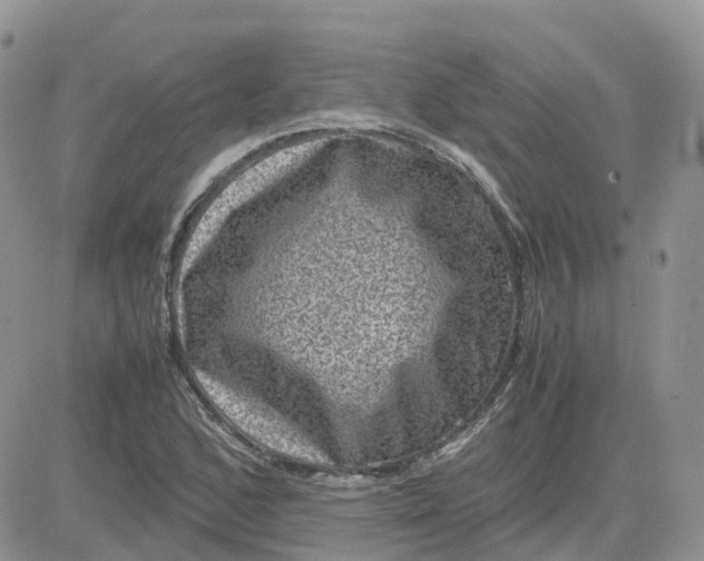 X0000081571168200701291207