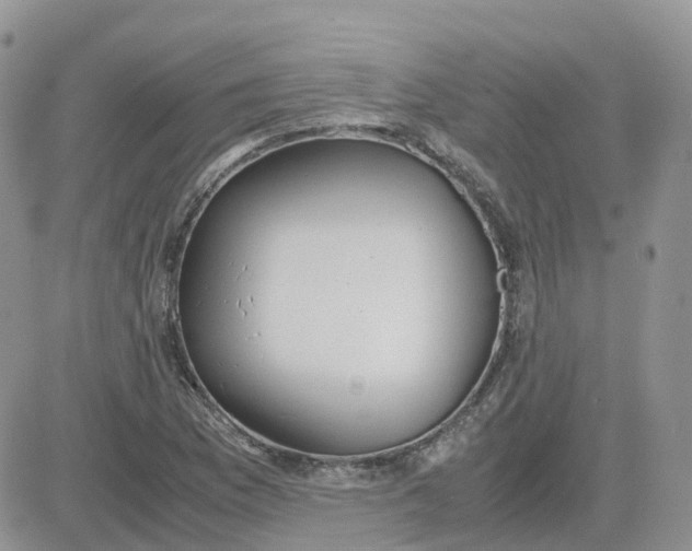 X0000081571169200701291207