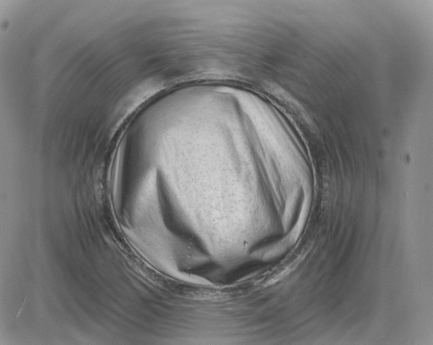 X0000081571170200701291207