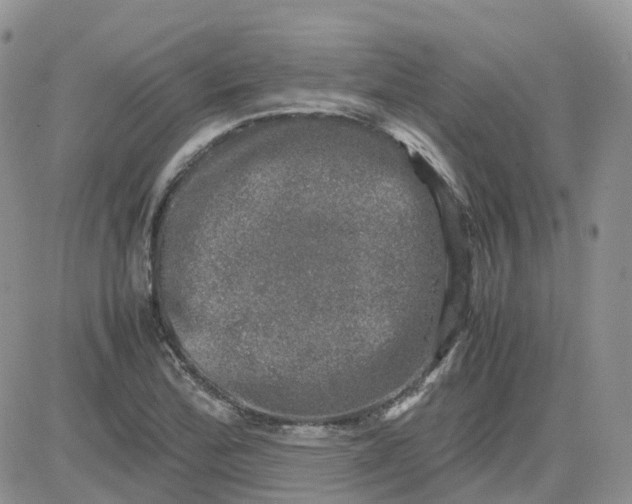 X0000081571172200701291207