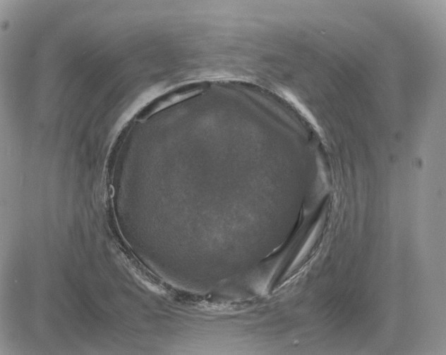 X0000081571173200701291207