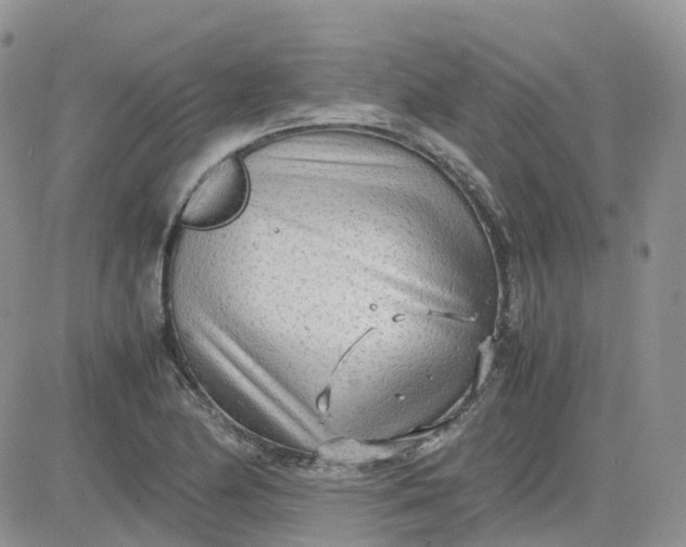 X0000081571174200701291207