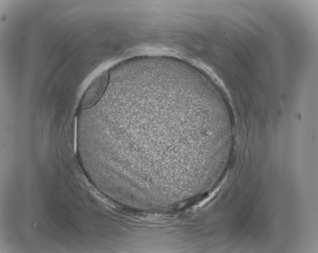 X0000081571175200701291207