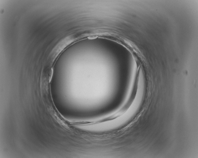 X0000081571177200701291207