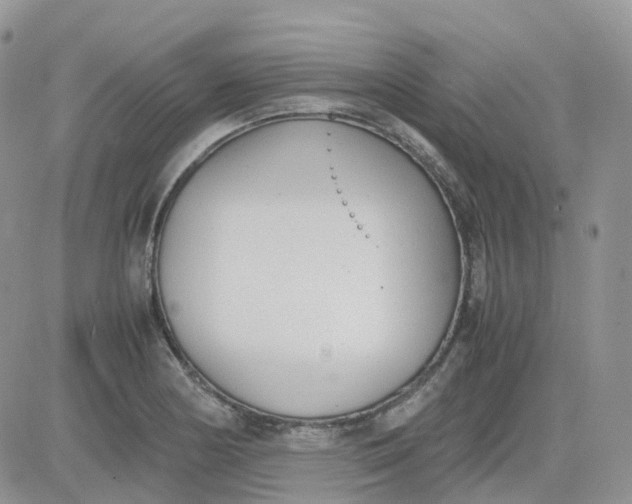 X0000081571178200701291207