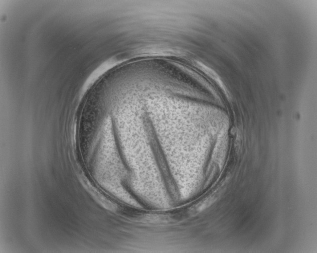 X0000081571179200701291207