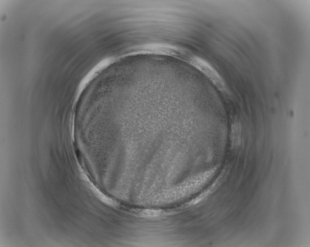 X0000081571180200701291207