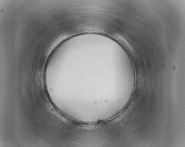 X0000081571182200701291207