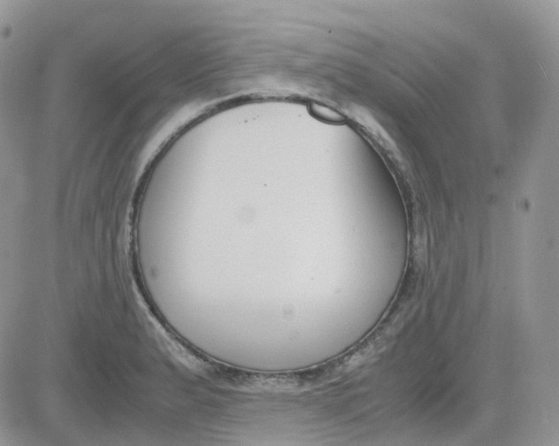 X0000081571183200701291207