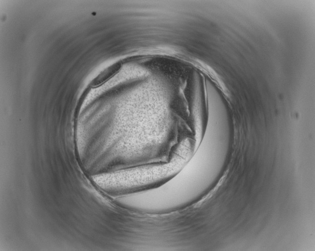 X0000081571184200701291207