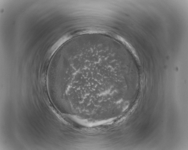 X0000081571185200701291207