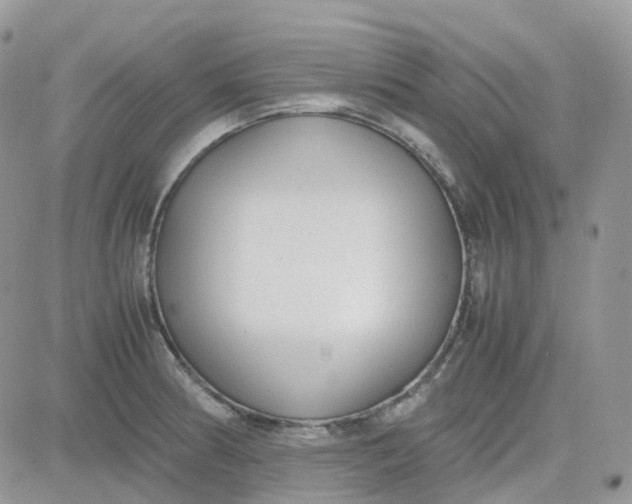 X0000081571186200701291207